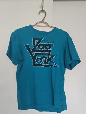 Zoo York Teal Graphic Logo Tee